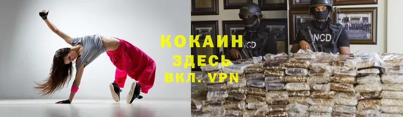 КОКАИН Fish Scale  Выкса 